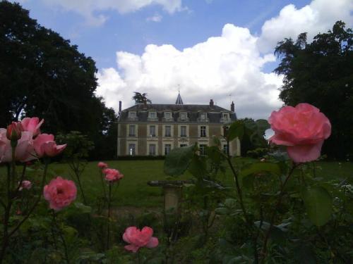 Chateau De Chanteloire