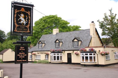 The Unicorn