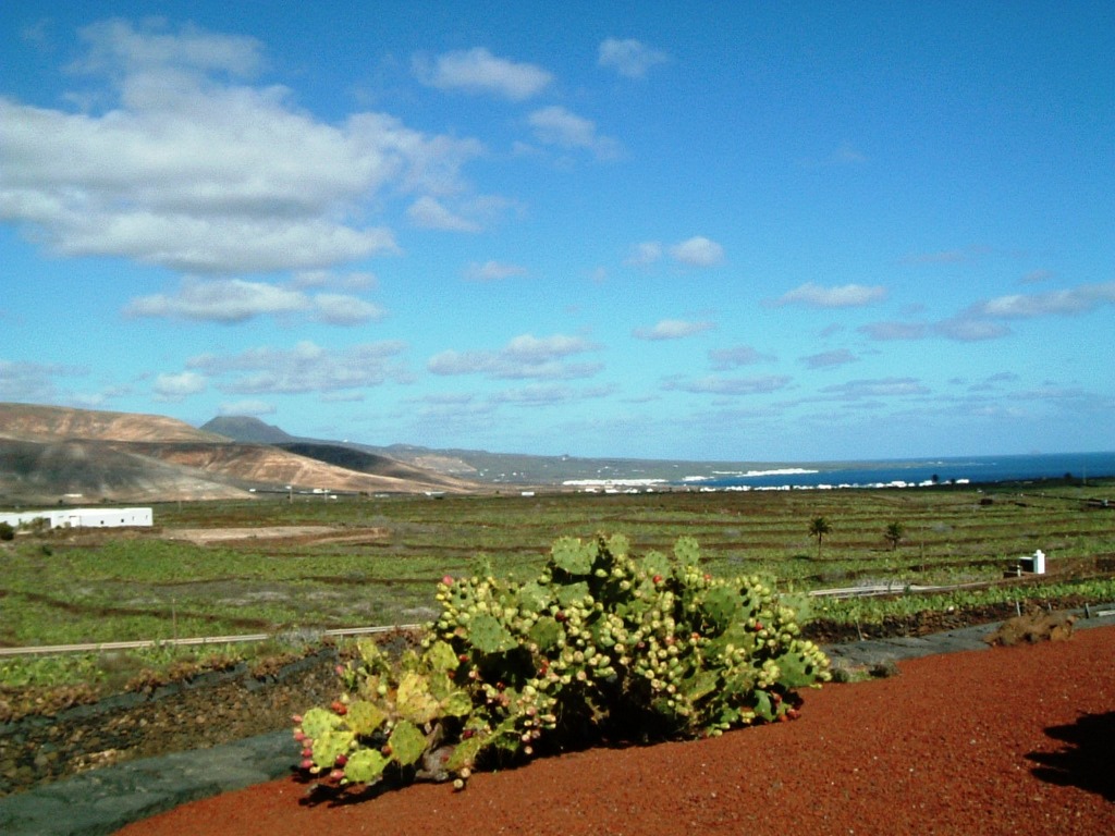 Jardin de Cactus, Lanzarote