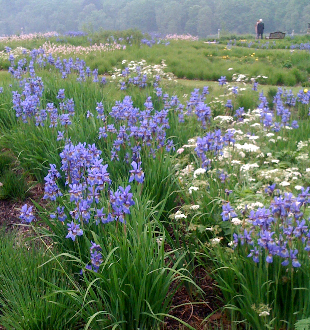 Trentham Gardens, 2010