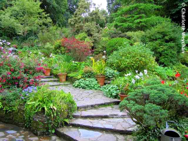 Docton Mill Garden, Devon