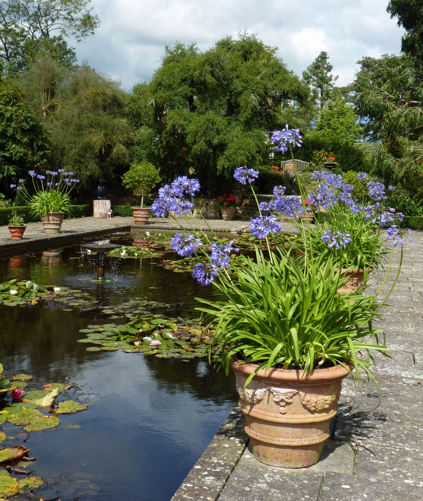 Borde Hill Garden, 2012