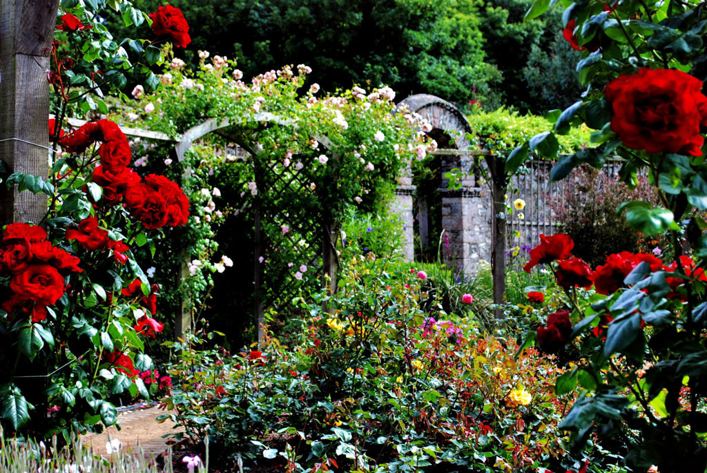 La Seigneurie Garden, Sark