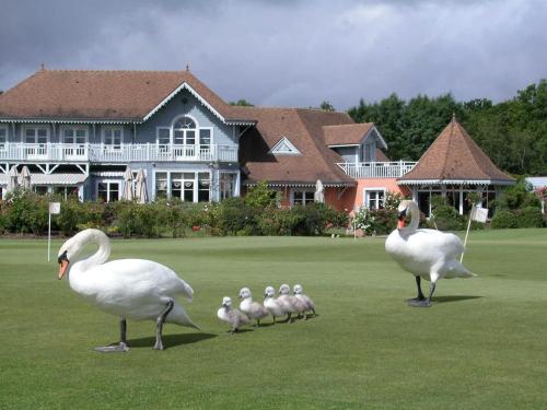 Golf Country Club d'Etiolles