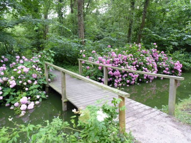 Bridge, Fairhaven Garden