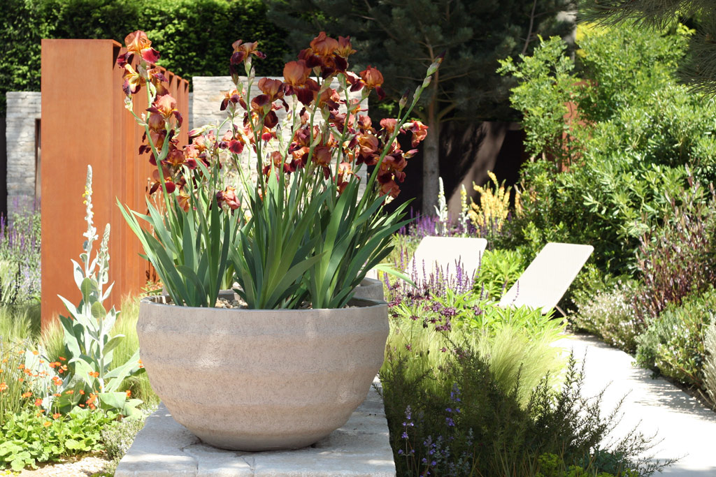 2010 Daily Telegraph Garden