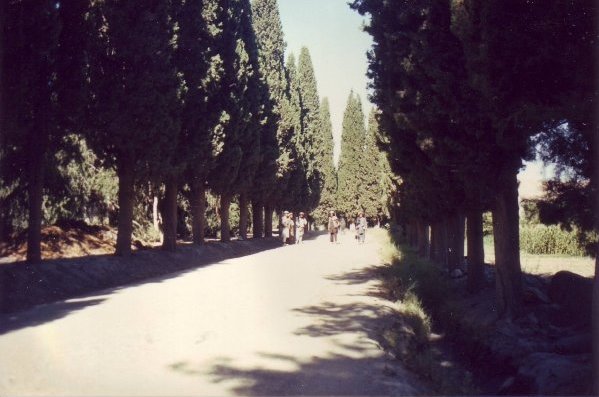 Nimla Gardens