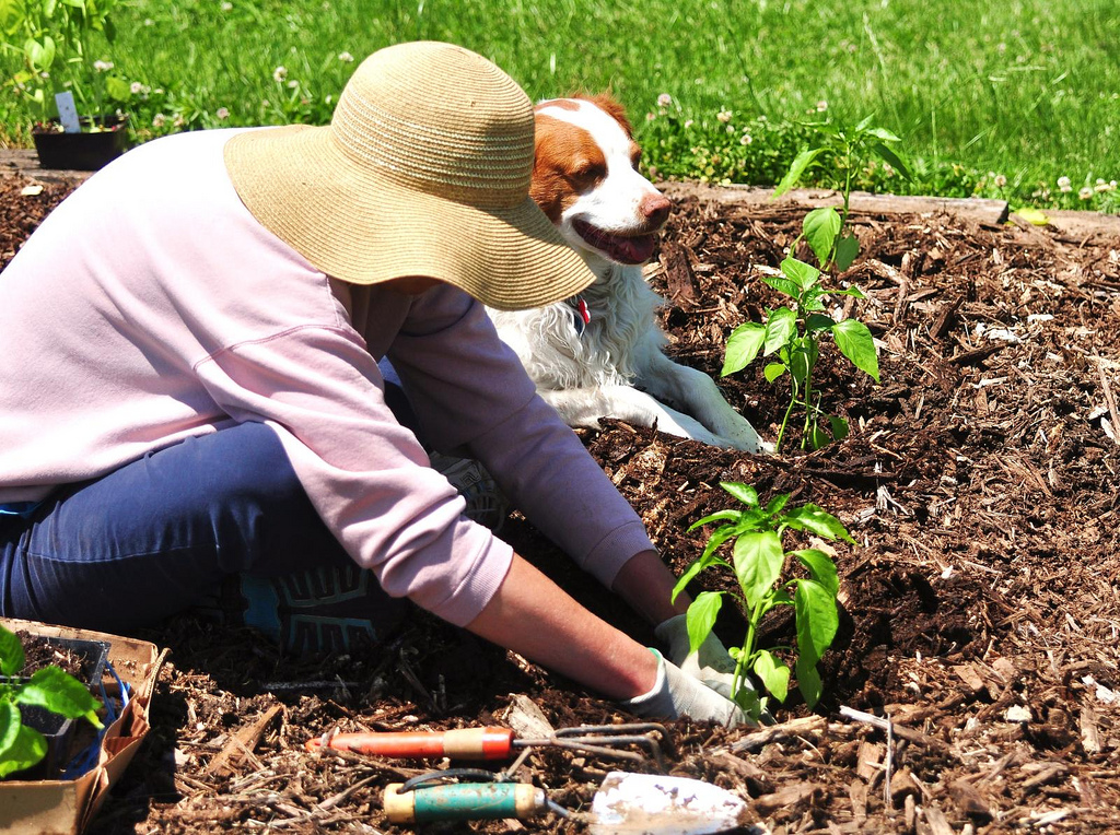 Garden and outdoor clothing
