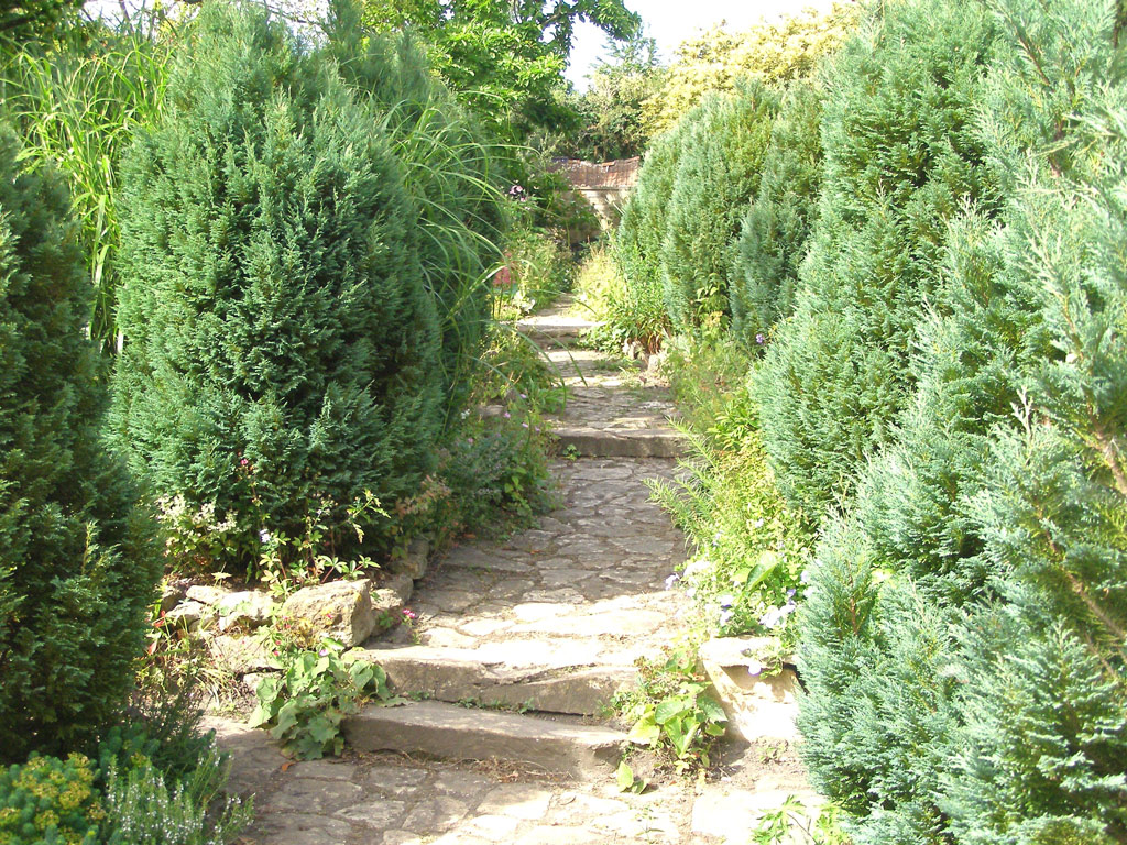 Path, East Lambrook Manor