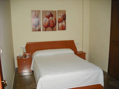Apartamentos Plaza Nueva