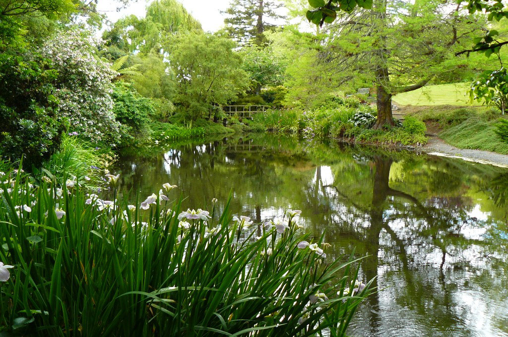 Cypress Swamp, Ayrlies