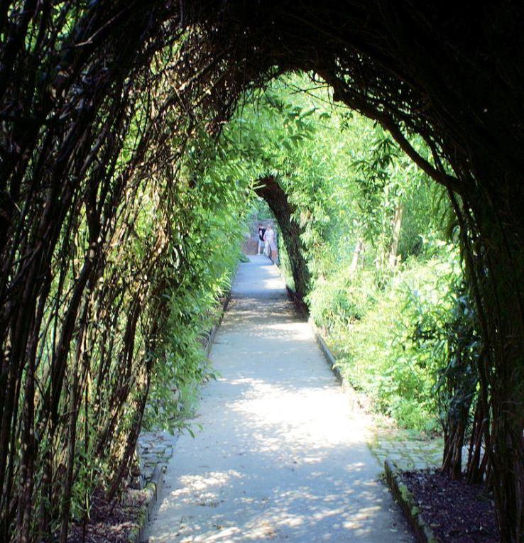 Tunnel, Jardin de Wiltz