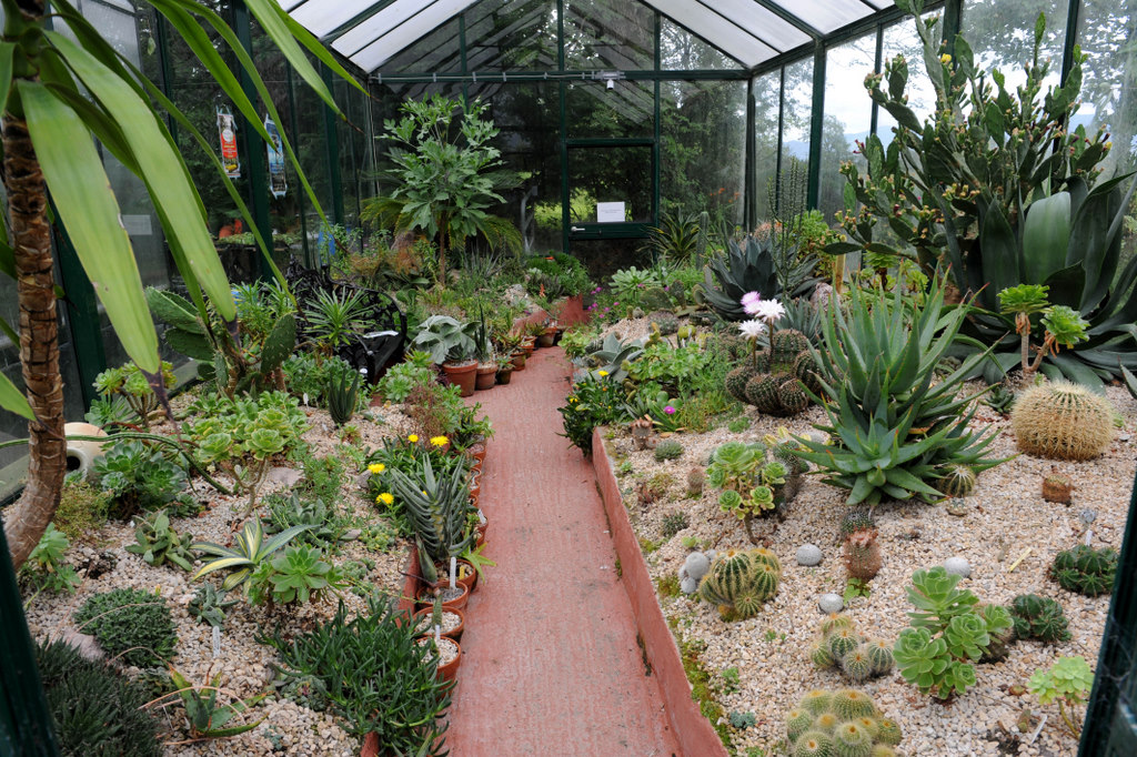Dhu Varren Garden, Ireland