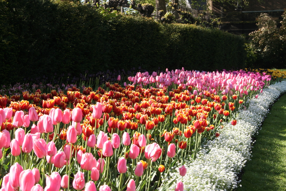 Victoria Embankment Gardens