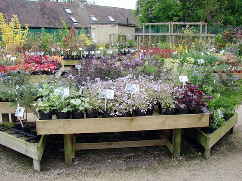 Long House Plants