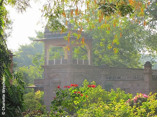 Balsamand Palace Garden, Rajasthan