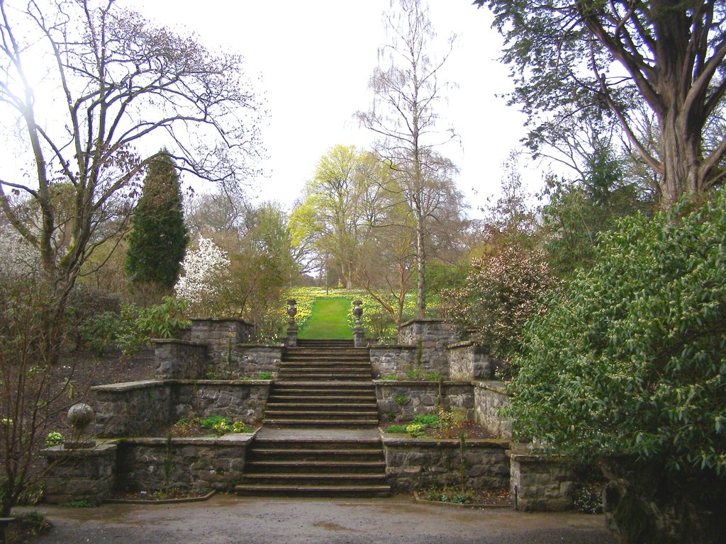 Stairs, Bodnant Garden