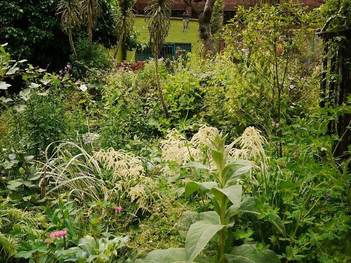 Phoenix Garden, Summer 2010