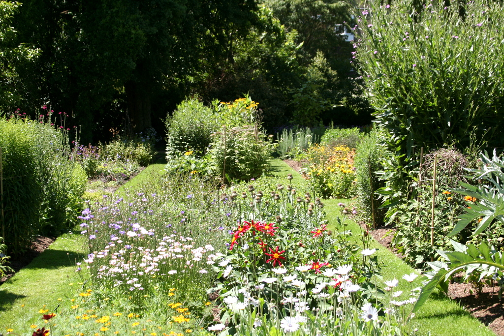 Summer, Chelsea Physic Garden