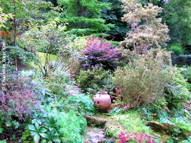 Docton Mill Garden, Lymebridge