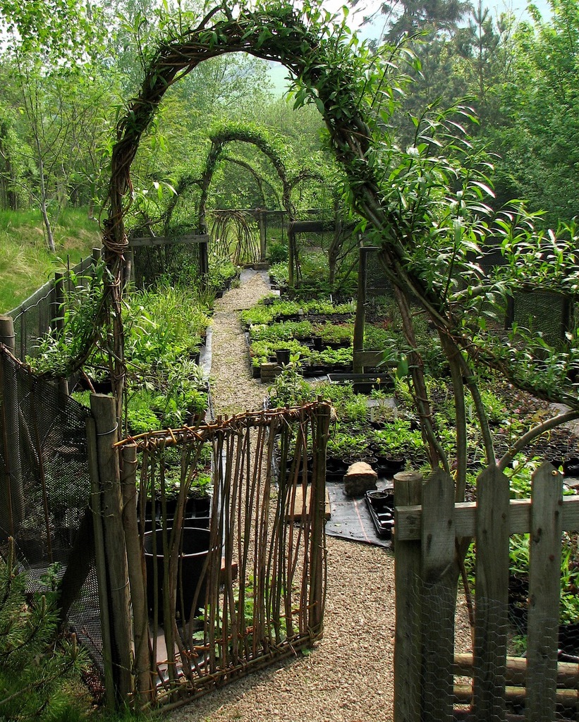 Tan-y-Llyn Nurseries, Wales