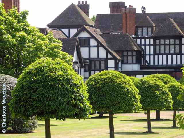 Ascott Garden, Summer