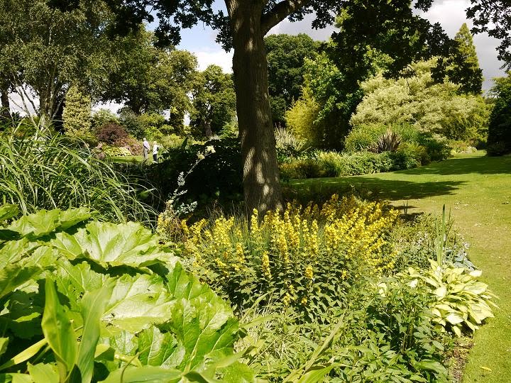 Beth Chatto Gardens, July