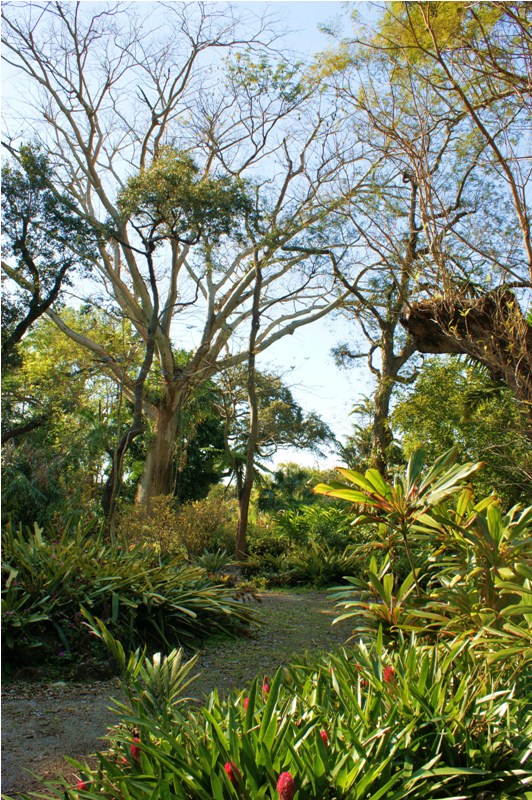 Flamingo Gardens, Davie