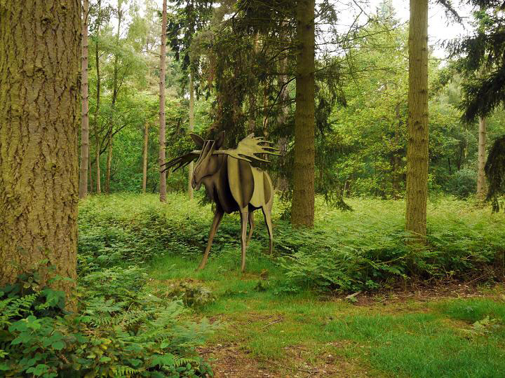 Marks Hall Arboretum