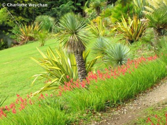 Tremenheere Sculpture Gardens, Penzance