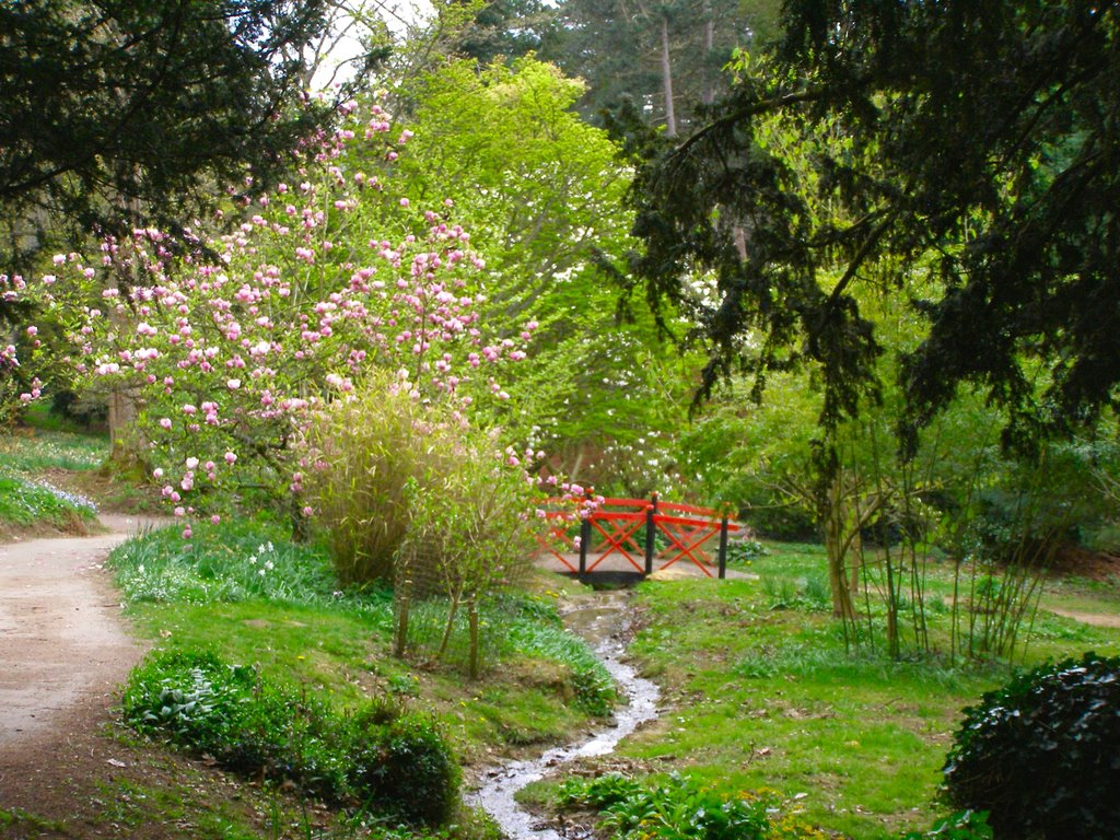 Batsford Arboretum, Spring