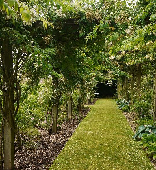Castle Howard Garden, July