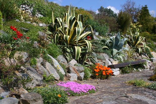 A Seaside Garden