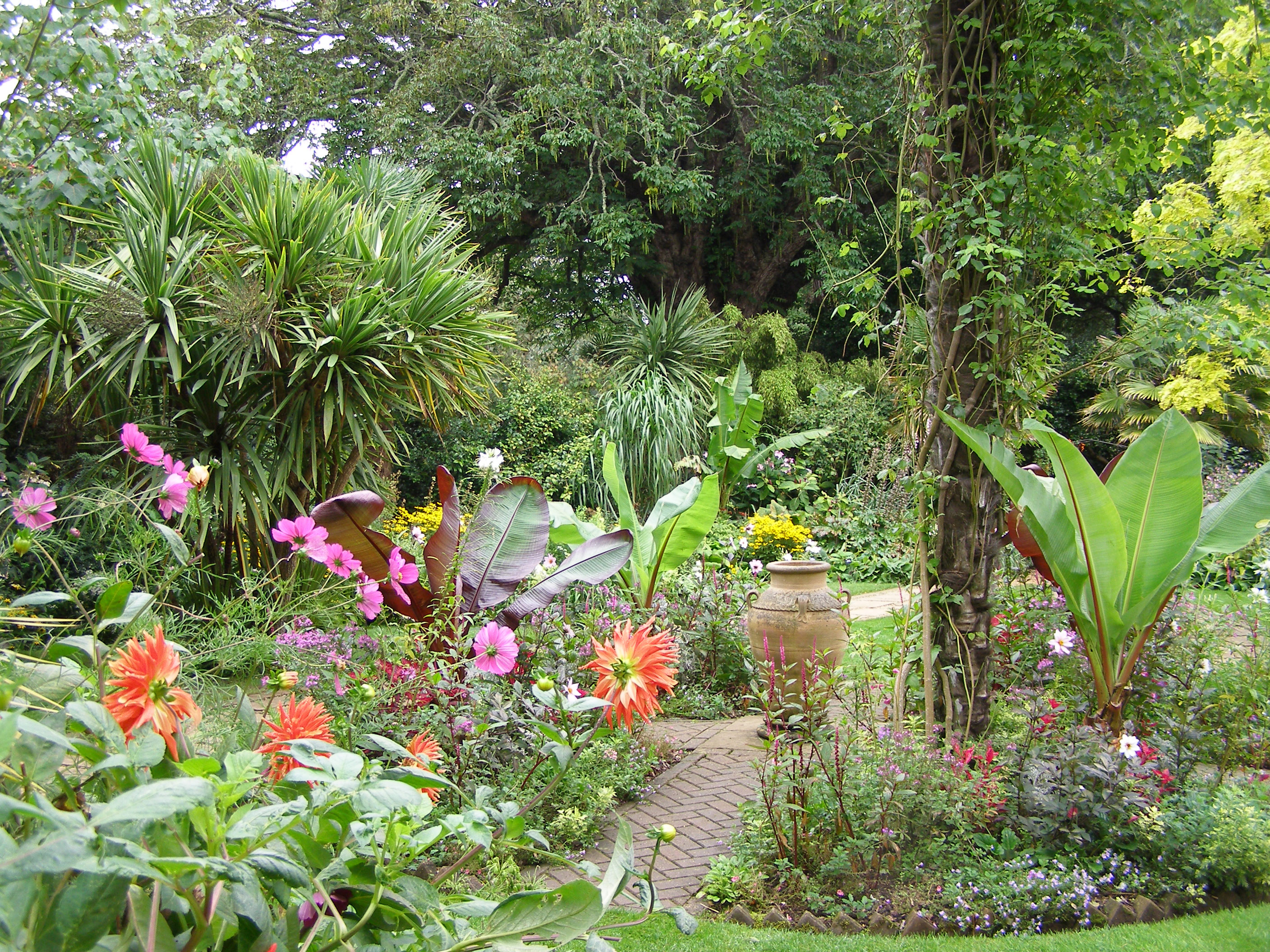 Abbotsbury Gardens, Dorset