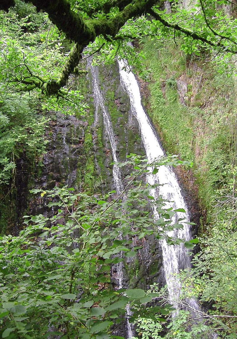 Waterfall at Abriachan Garden, Scotland