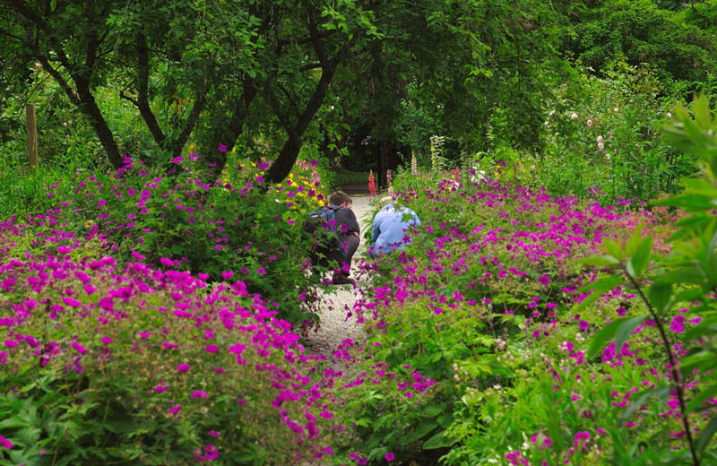 Achamore Gardens, Gigha