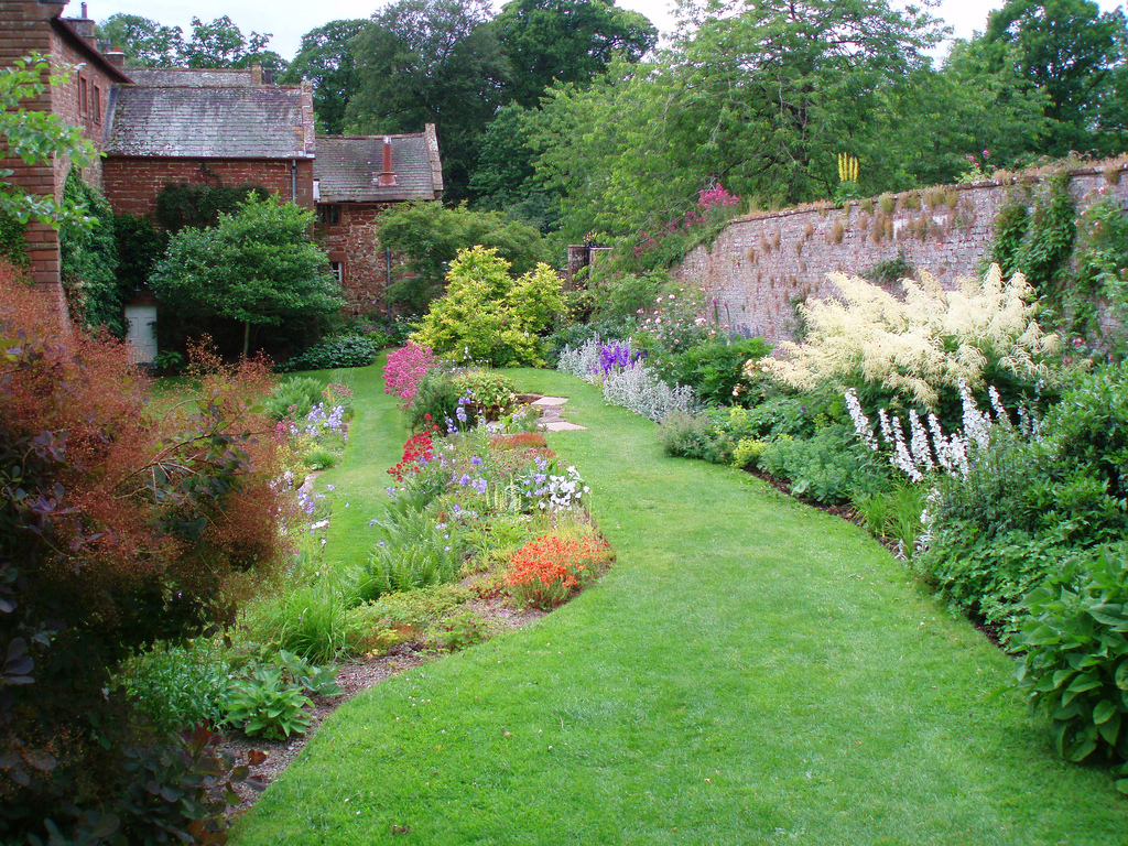 Acorn Bank Garden Miladus Edenensis