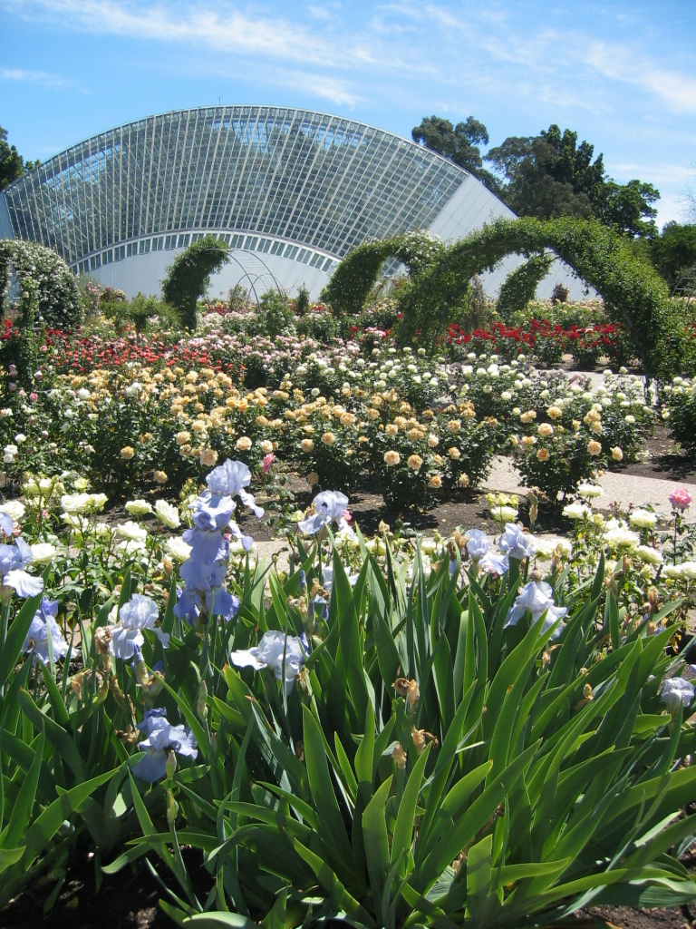 Adelaide Botanic Garden Helen K