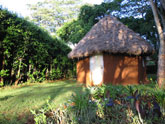 African House