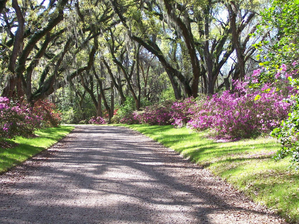 Afton Villa Gardens, Louisiana