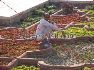 Agra Fort Gardener
