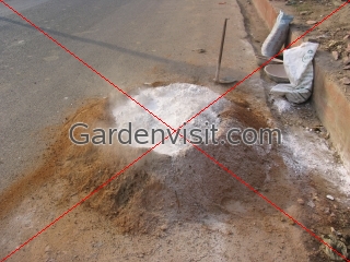 Agra Fort Lime Mortar