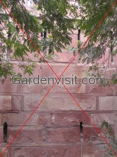 Agra Fort Wall