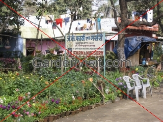 Agra Nursery Garden