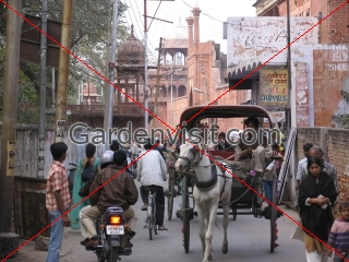 Agra Street