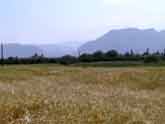 Fields and mountains
