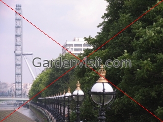 Albert Embankment and London Eye