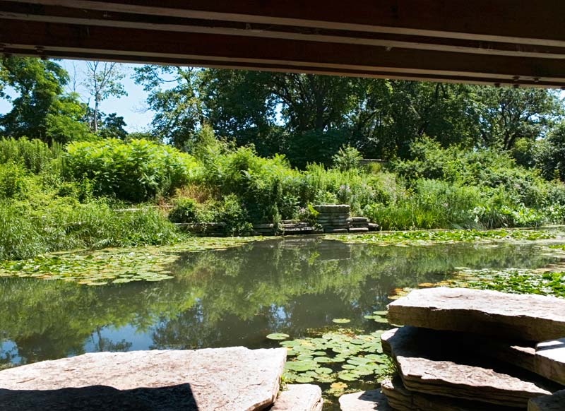 Alfred Caldwell Lily Pond