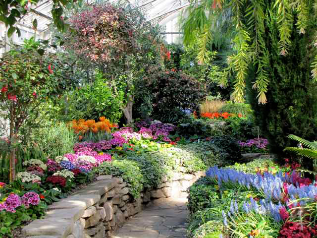 allan gardens
