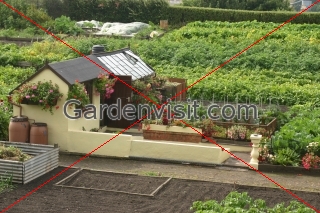 Allotment Gardens Berwick